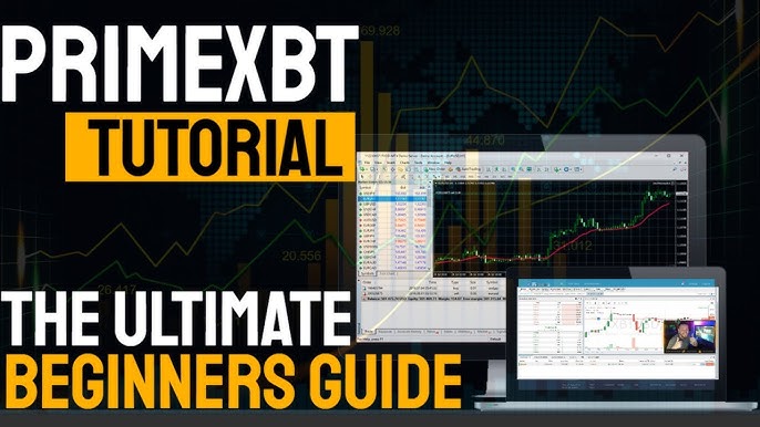 Exploring the PrimeXBT Exchange A Comprehensive Guide Exploring the PrimeXBT Exchange A Comprehensive Guide